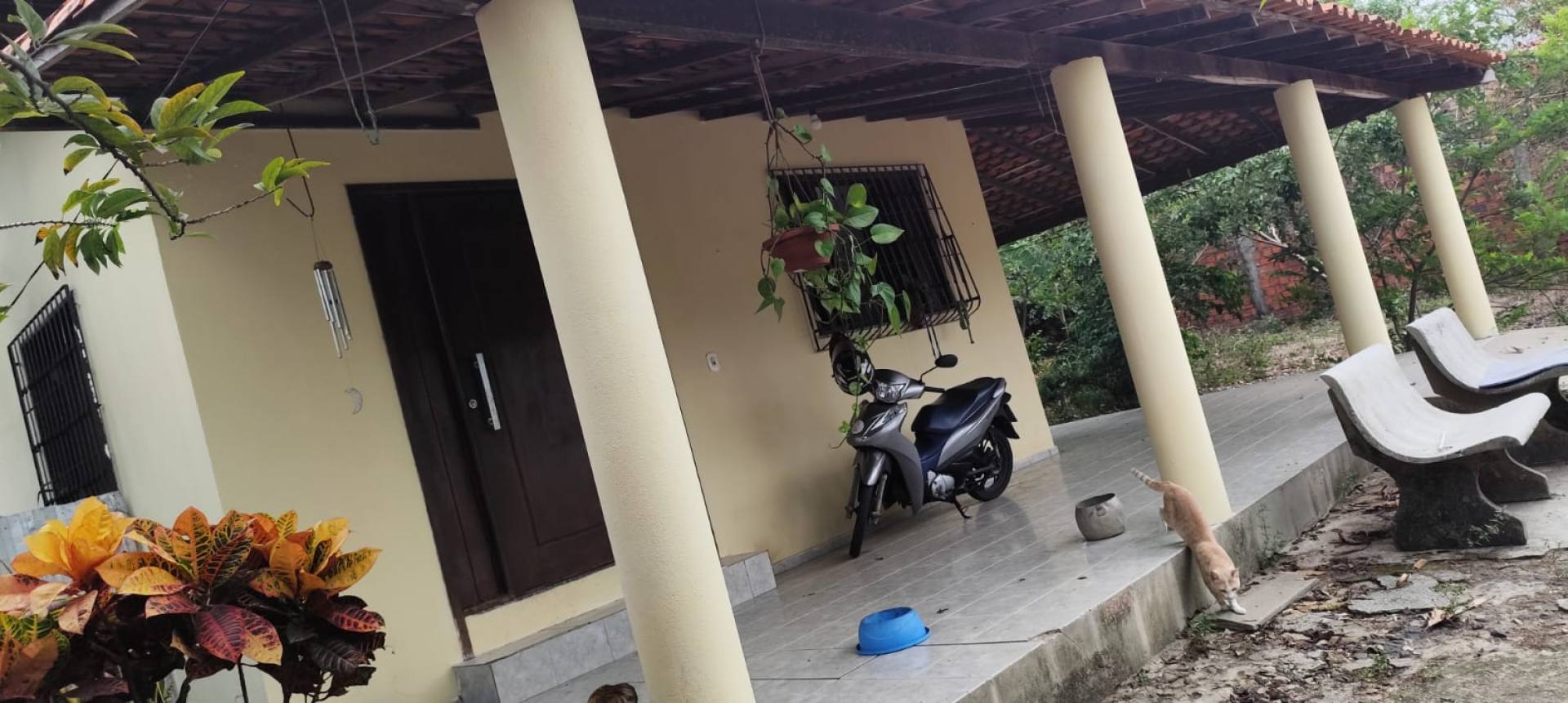 100- Sítio à venda - Olho D\'água - São Luís - MA