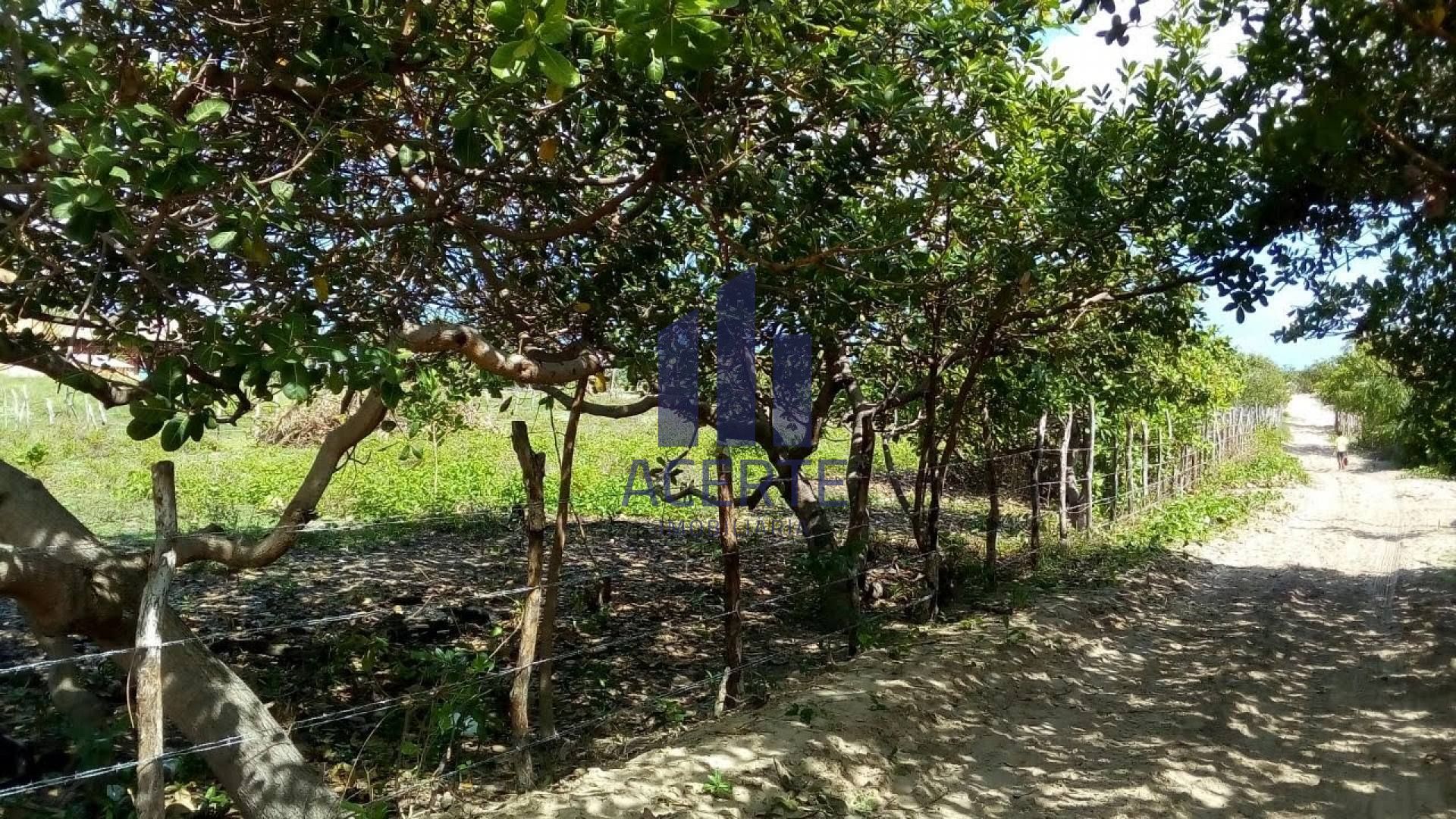 BM-Lote / Terreno Comercial Para Vender em Atins - Barreirinhas