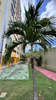 Apartamento de 77m² com 2 quartos (1 suíte) no Ville de France - Turu
