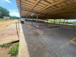 Galpão de 20.000m² pra locação na BR-135