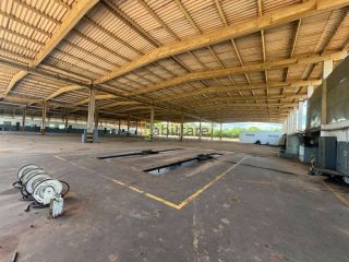 Galpão de 20.000m² pra locação na BR-135