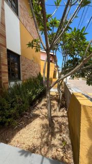 Alugo Casa de condomínio duplex com 3 quartos (1 suíte) no Condomínio Rainha da Paz, no Jardim Eldorado