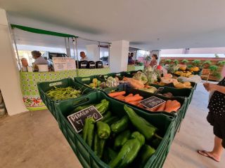 Apartamento de 62m² com 2 quartos (1 suíte) no Parque Renascença