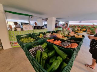 Apartamento de 77m² com 3 quartos (1 suíte) no Parque Renascença