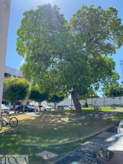 GRAND PARK DIRCEU