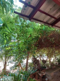 CASA CONDOMÍNIO FAZENDA REAL