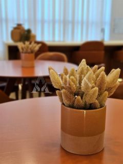 Excelente apartamento na  Meia Praia 3 suítes e 2 vagas ampla área de lazer