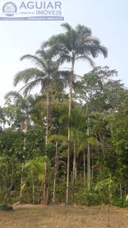 SÍTIO PROXIMO DA UNIR