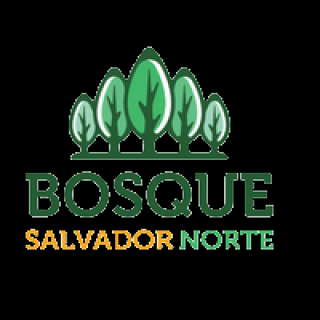 Bosque Salvador Norte