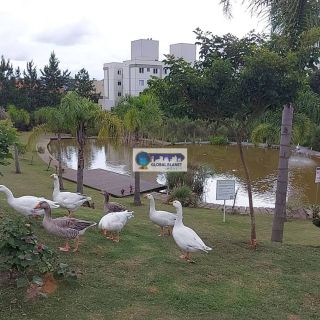 Apartamento 2 quartos Semi-Mobiliado em Condomínio Clube – São José dos Pinhais
