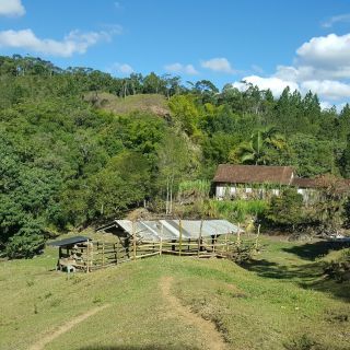 FSFBJ 0 Cod_323