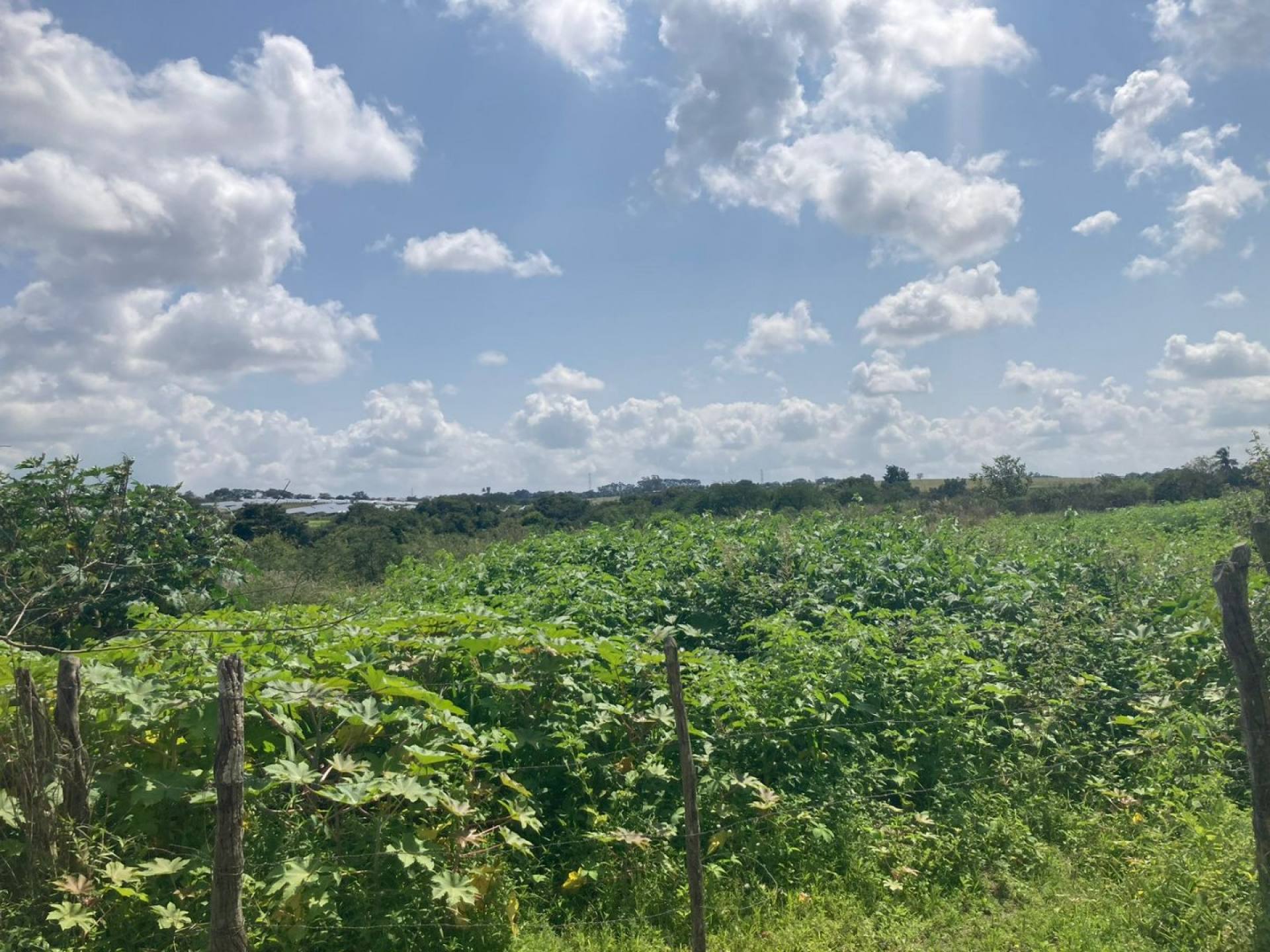 Terreno em Itabaiana - Povoado Dedenzeiro