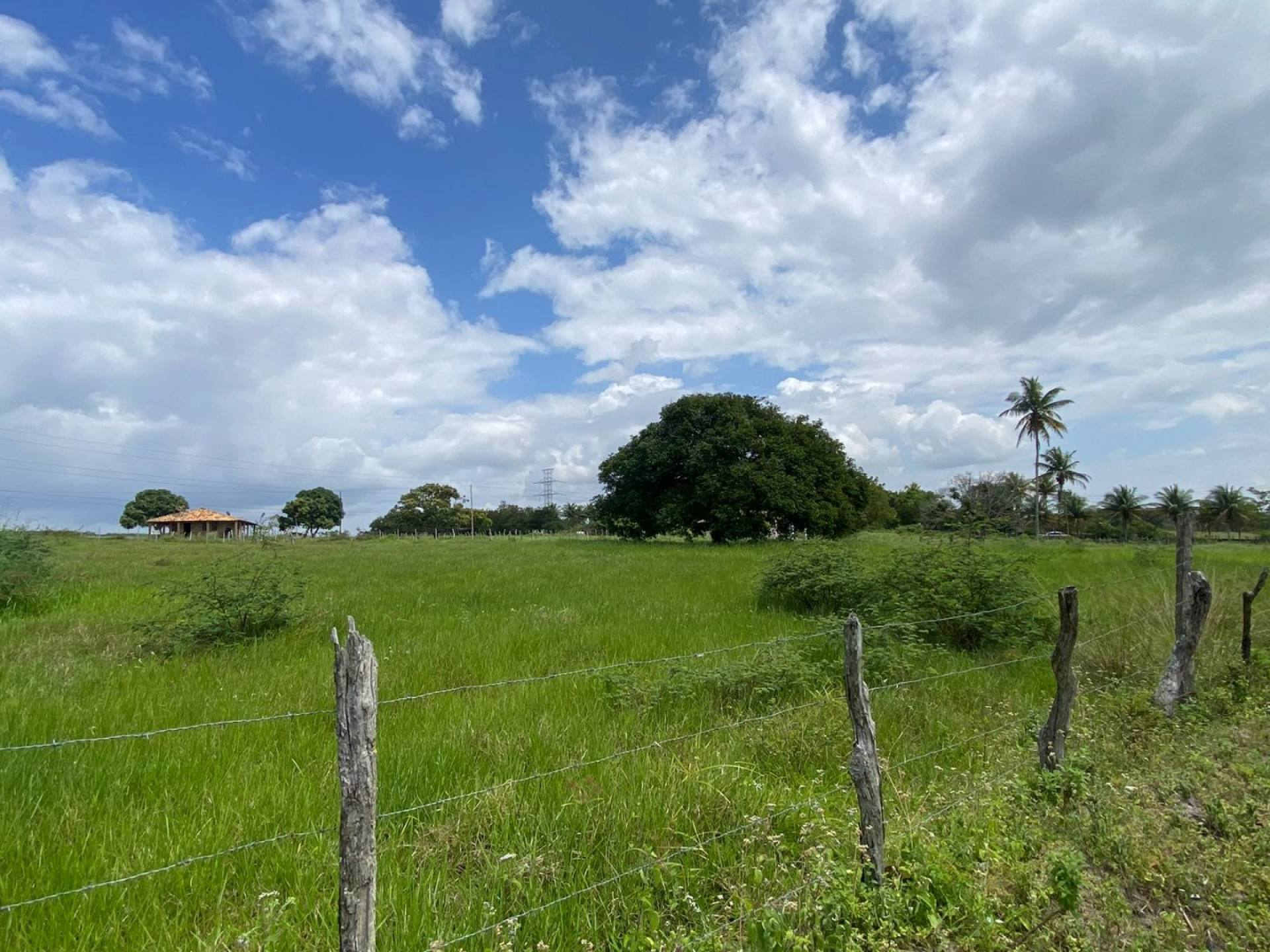 Terreno á Venda no Povoado Lagoa Do Forno - Itabaiana/SE
