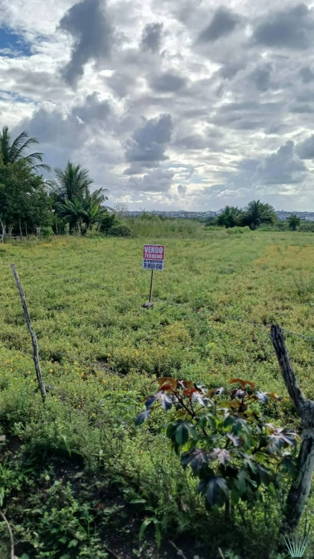 Lote à venda no Povoado Lagamar