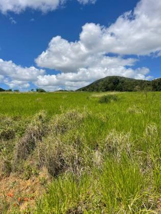 Terreno à Venda com 4 Tarefas - Estrada de Acesso ao Povoado Mangueira – Itabaiana/SE