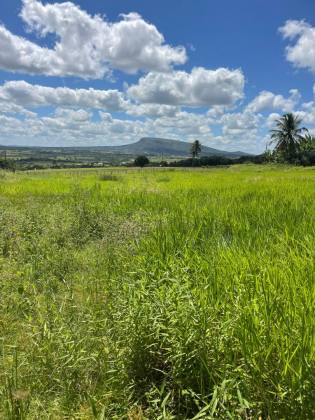 Terreno à Venda com 4 Tarefas - Estrada de Acesso ao Povoado Mangueira – Itabaiana/SE
