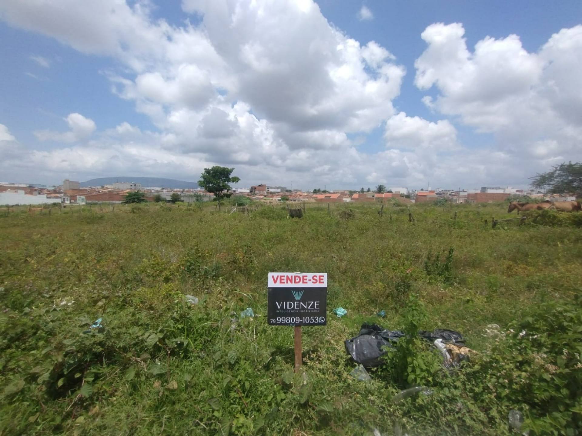 Lote á Venda no Bairro Mamedes Paes Mendonça em Itabaiana/SE