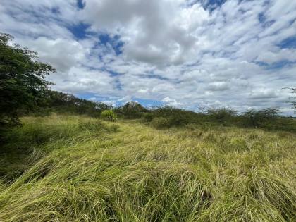 5 Tarefas á Venda no Povoado Tabuleiro do Chico - Itabaiana/SE