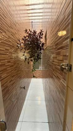 Imóvel á Venda no Bairro São Cristóvão - Itabaiana/SE