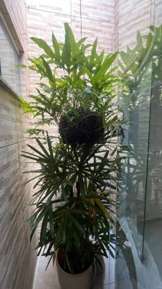 Imóvel á Venda no Bairro Marianga - Itabaiana/SE