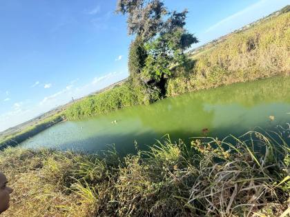 26 Tarefas á Venda em Ribeirópolis/SE