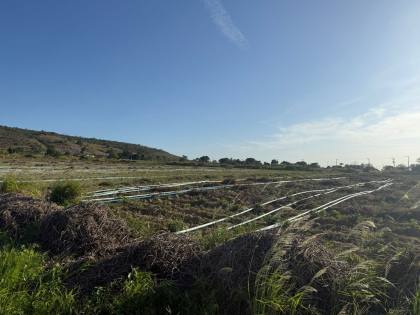 26 Tarefas á Venda em Ribeirópolis/SE