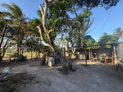 26 Tarefas á Venda em Ribeirópolis/SE