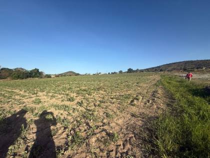 26 Tarefas á Venda em Ribeirópolis/SE