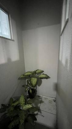 Imóvel á Venda no Bairro Rotary Club - Itabaiana/SE