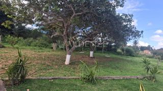 Chácara à Venda com Piscina, Churrasqueira e Fruteiras no Povoado Terra Dura em Itabaiana