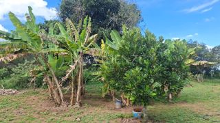 Chácara à Venda com Piscina, Churrasqueira e Fruteiras no Povoado Terra Dura em Itabaiana