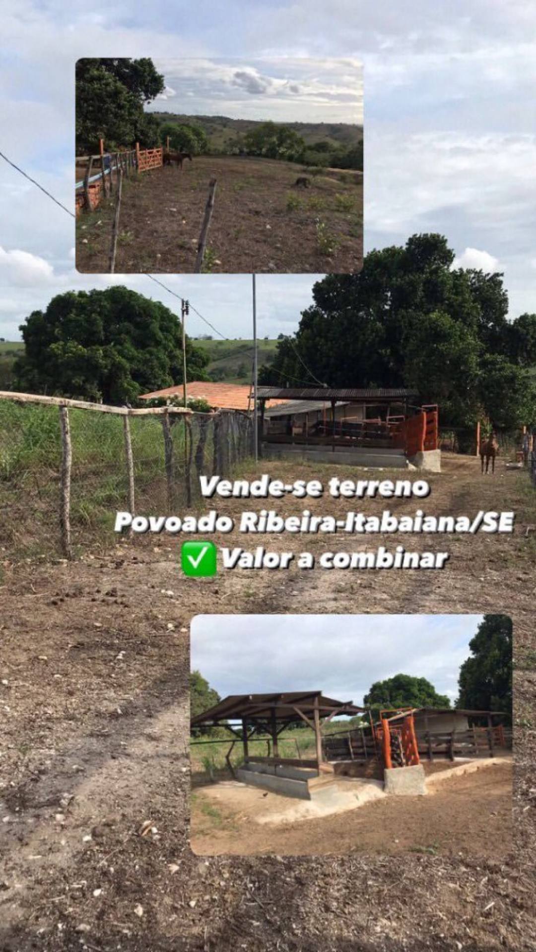 Propriedade à Venda com 5 tarefas no Povoado Ribeira - Itabaiana/SE