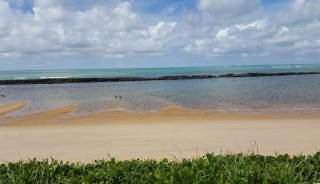 Casa a beira mar de sonho verde