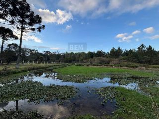 Chácara com LAGO ENORME à Venda em Almirante Tamandaré | 17 km de Curitiba