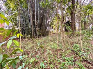 Oportunidade Única: Imóvel Comercial e Residencial de Alto Potencial em Curitiba – Bairro São Bra