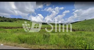 Fazenda de 1.800 tarefas em Santa Luzia do Itanhy