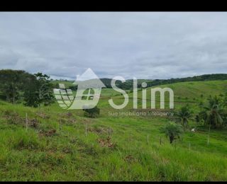 Fazenda de 1.800 tarefas em Santa Luzia do Itanhy