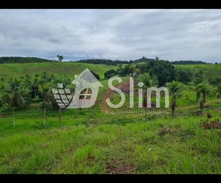 Fazenda de 1.800 tarefas em Santa Luzia do Itanhy