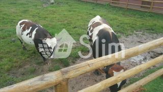 Lote em Condomínio Haras Residence