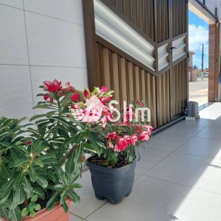 Casa no Bairro 17 de Março