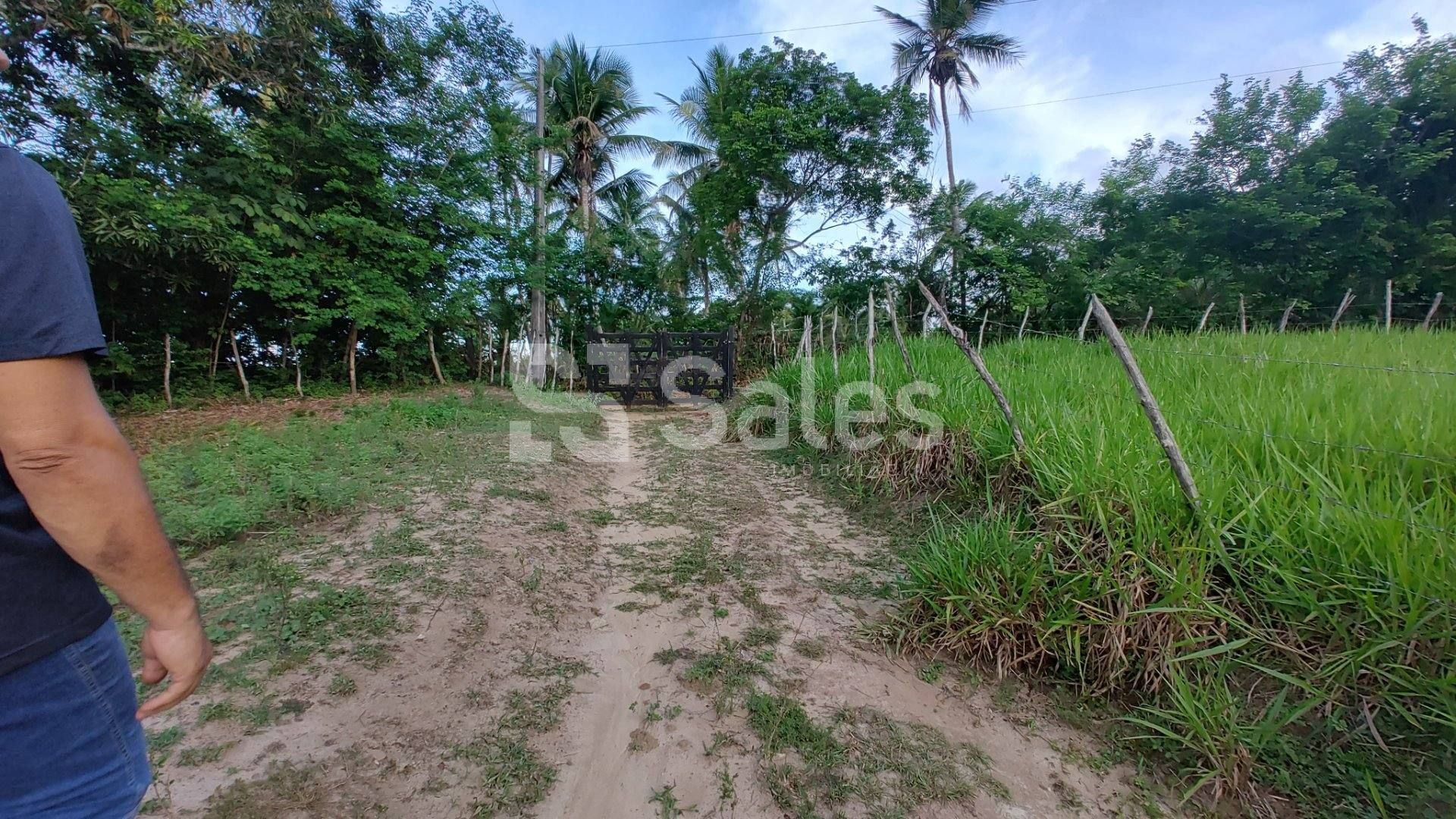 Sítio 3/4 no Cantinho do Céu