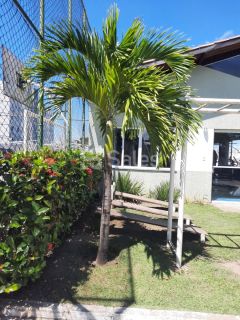 Apartamento 2/4 no Verde Monte Sierra