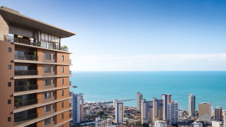 Signa Meireles