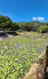 Lote a Venda no Botânico Terra Brasilis no Eusébio - Ceará