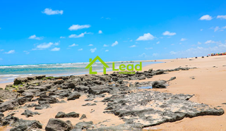 Vendo 04 Lotes com 1.560m² Total na Praia de Águas Belas Caponga - Ceará