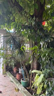 Casa Duplex com 3 Quartos à Venda em Messejana – Fortaleza/CE