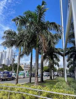 Sala para alugar, 76 m² por R$ 9.000,00/mês - Pina - Recife/PE