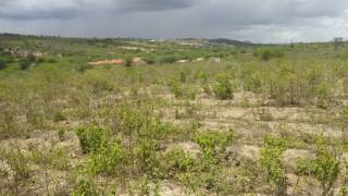 Fazenda no bairro Cidade Alta