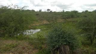 Fazenda no bairro Cidade Alta