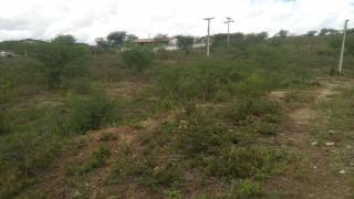 Fazenda no bairro Cidade Alta
